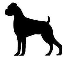 Loyalty Card Self Inking Stamp - Boxer Dog
