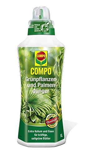Compo Palms Green Plants And 1000ml (Grfl 1)