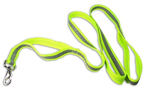 Petflect Reflective Double Loop 6 Foot Dog Leash, Fluorescent Yellow/Silver