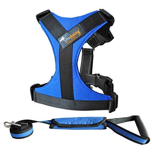Adjustable Dog Vest Harness with Leash - Secure Reflective Nylon Lightweight Dog Walking Harness Vest - Durable and Breathable Dog Pulling Harness (S, Blue)