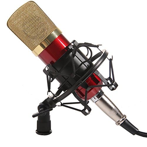 Dolotu BM Series Dynamic Condenser Microphone Sound Studio Recording Mic+ Shock Mount + Microphone Windshield- Professional Studio Broadcasting &amp; Recording Microphone SetEnjoying Singing Speaking High Party (BM700, Red)