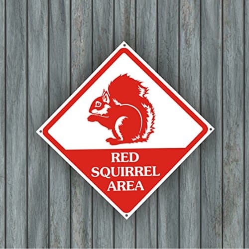 Red Squirrel Warning Sign 10" BY 10"