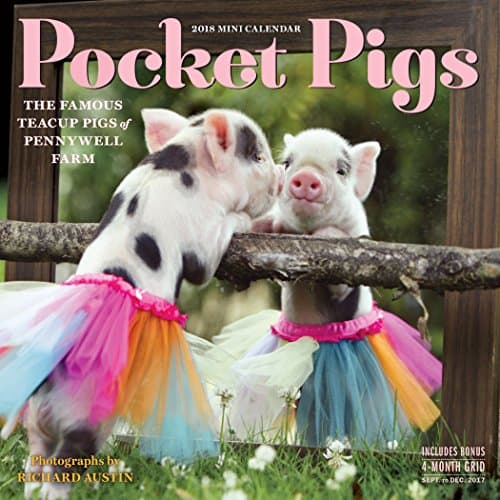 Pocket Pigs Mini Calendar 2018
