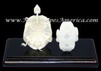 Turtle Skeleton, Natural Shell (Large) (1 EACH)