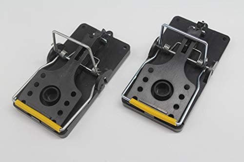 RODEX Heavey Duty ABS Snap Trap-2 Pcs Pack Small Size (Imported) Model no: RDX- HC-2202S 2 pcs Blister Pack