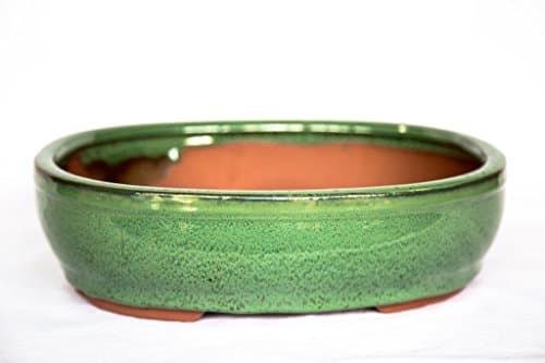 Bonsai Tree Pot 10 Inch Green Glazed Oval Shape