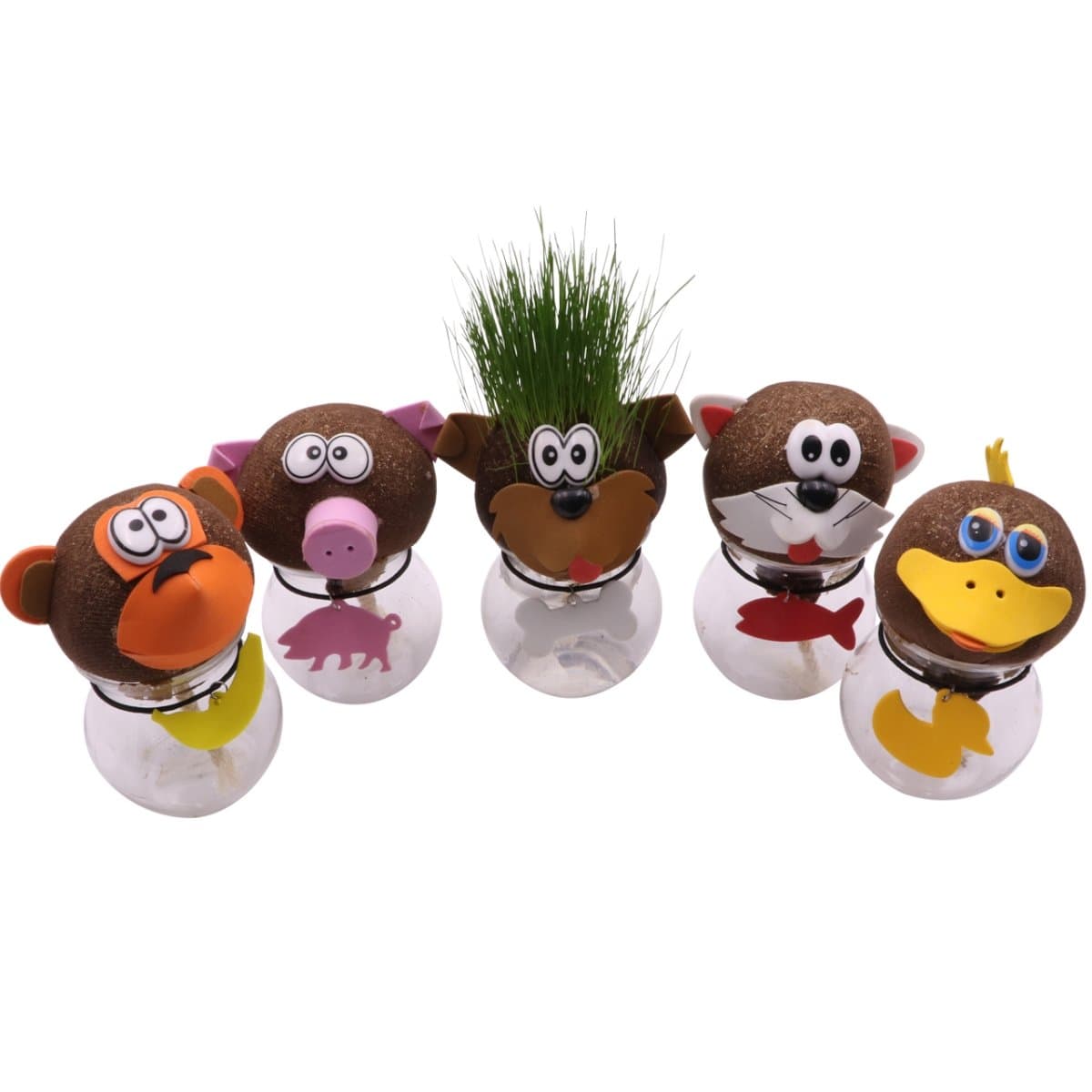 AvoSeedo Grass Head - Funny Fast Growing Grass Head Learning Toy for Kids (Mixed Comic Heads)