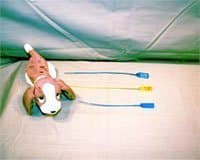 PT# -9393 Locks Pull-Tight Numbered Red 100/Pk by, Healthmark