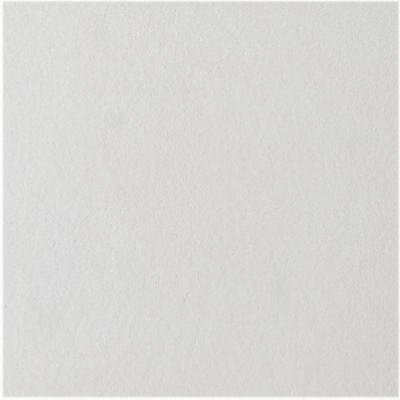 CEILING TILE 1X1' by USG MfrPartNo 824290