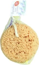 Paradiso Foam Sea Sponge with Suction Cup