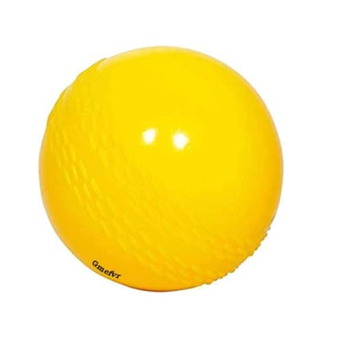 Gmefvr Soft Cricket Balls Practice Training for All Age Group Recommended for Indoor/Outdoor Street & Beach Crickets
