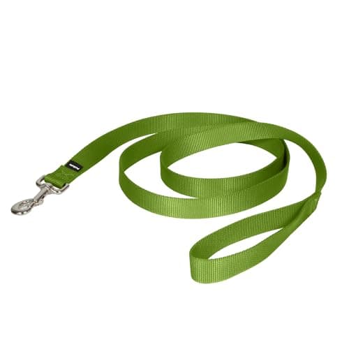 PetSafe Leash, 1" x 6', Large, Apple Green