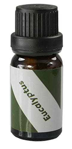 Eucalyptus 100% Pure Undiluted Essential Oil - 10 Ml