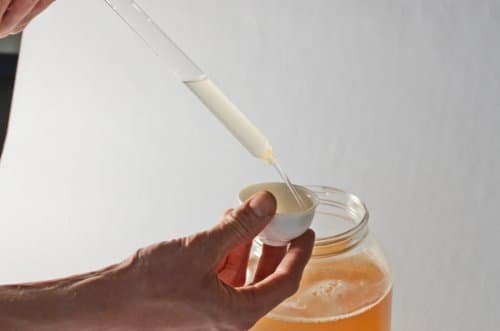 Glass Sample Taker/Thief by Kombucha Brooklyn