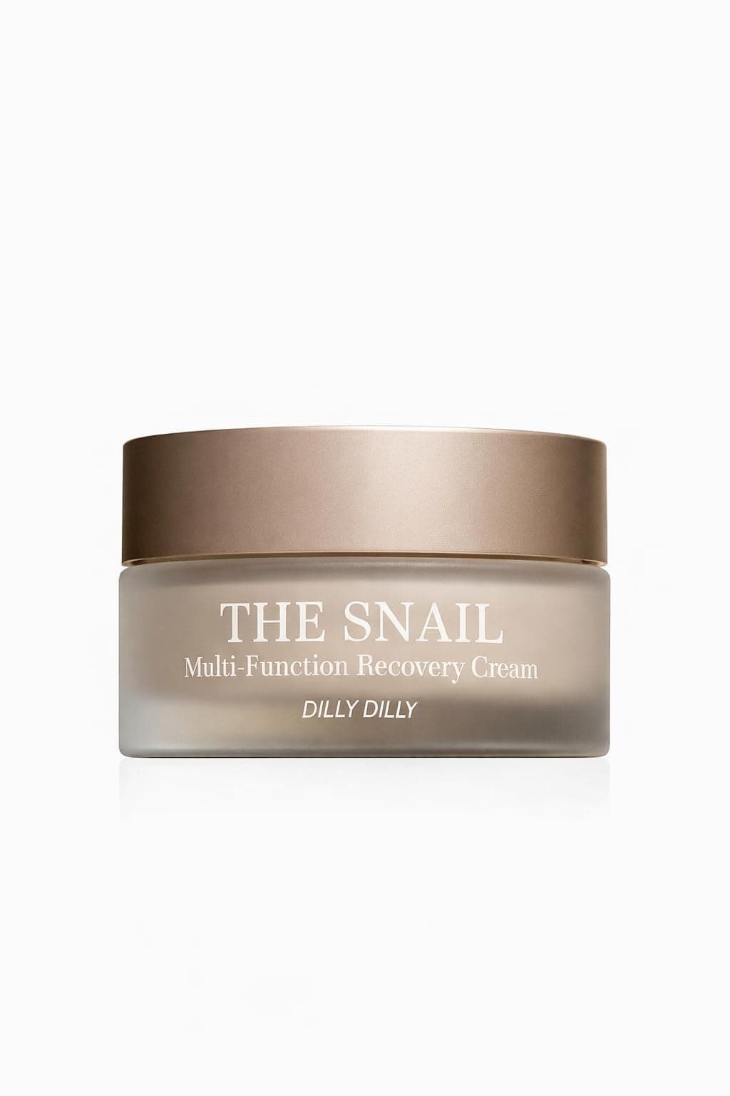 DillyDilly Korean Skincare All in One The Snail Multi-Function Recovery Cream, Face Moisturizer with Snail Mucin Extract, Anti-Wrinkles, Acne Scars and Dark Spots Treatment, Made in Korea, 100g