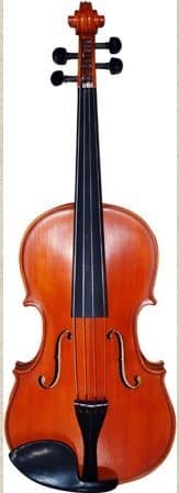 Gliga Grottano Viola 15.5'