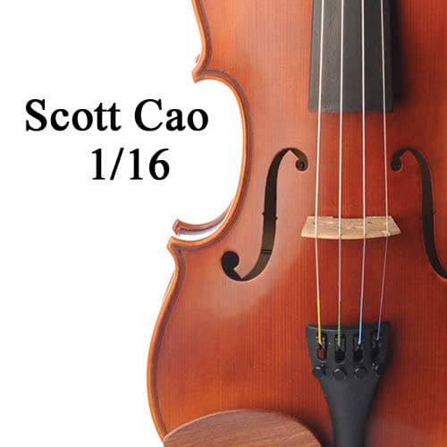 Violin Outfit 1/16 Size Model STV017