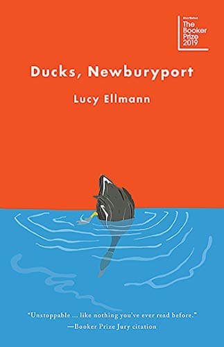 Ducks, Newburyport Kindle Edition