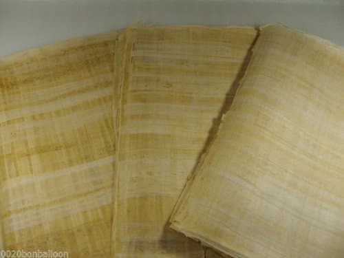 20 Blank Egyptian Papyrus Sheets for Art Projects and Schools 8x12in 20x30cm (kemet Art)