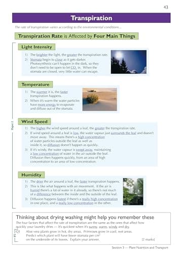 NEW GRADE 91 EDEXCEL INTE