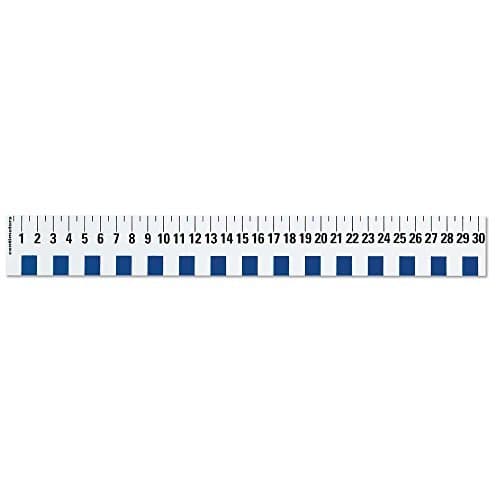 hand2mind 12 inch Flexible Safe-T Plastic Beginner Rulers, Set of 12