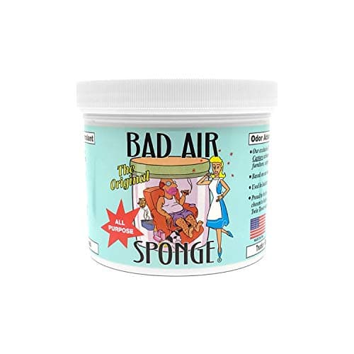 Bad Air Sponge 2lb. Container
