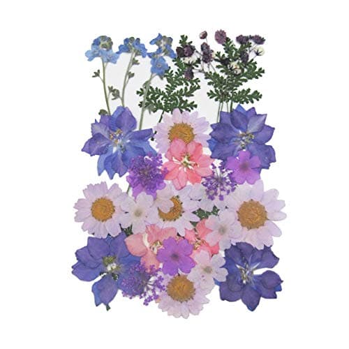 Real Pressed Dried Flowers,Mixed Multiple Pressed Flowers for Scrapbooking Crafts Nail Art Soap Candle Resin Making