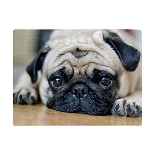 Custom Jigsaw Puzzle, Personalized Puzzle from Photo Rectangle Your Own Pug Dog Picture Jigsaw Puzzle Pet Animal DIY for Anniversary Wedding Birthday Graduation Present A3 Size 252 Pieces