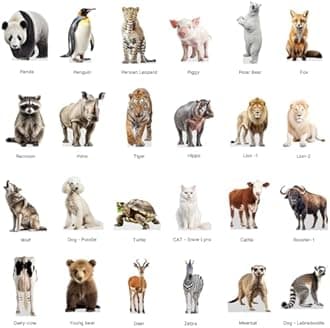 Moose - Life Size Cardboard Cutout Standup People with Support Standee | Animals -