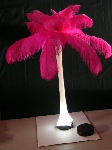 Light Plate~1-Pedestal--Illuminated Light Base 4" inch- Black Plastic-Round Battery Operated 9 Bright White LED Lights