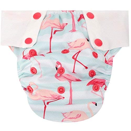 HappyEndings Big Kid Pull On Reusable Cloth Diapers/Training Pants (Large, (Fits 45-65lbs), Flamingos)