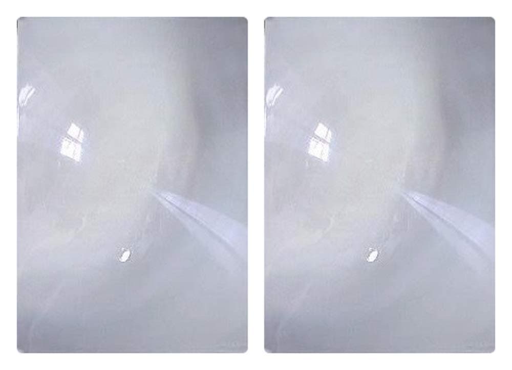 Brand 2 Pack Full Page 3X Magnifier/Plastic Magnifying Sheet Fresnel Lens, 2 Count (Pack of 1)