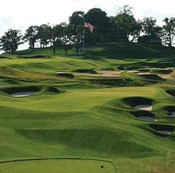 Outsidepride 5 lb. PC2.0 (Penncross) Creeping Bent Grass Seed for T-Shirts, Green and Streets