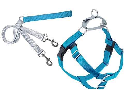Freedom No-Pull Dog Harness and Leash, Adjustable Comfortable Control for Dog Walking, Made in USA (XSmall 5/8") (Turquoise)