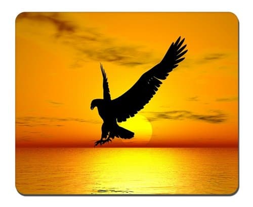 Eagle Sunrise Mousepad,Gaming Mouse Pad (10.2x8.2 inches)