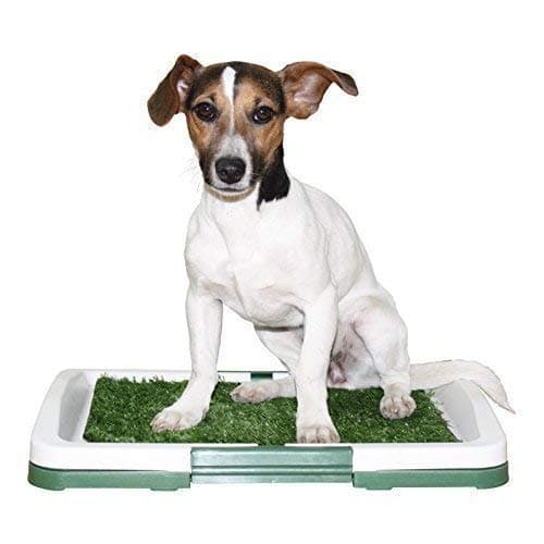 Puppy Potty Pad Grass Carpet