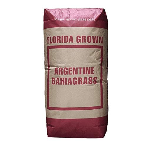 Hancock's Argentine Bahia Grass Seed (RAW)