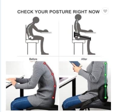 Lower Back Support Posture Belt | Improves Posture & Eases Lower Back Pain While You Sit (Use for Just 15 Mins A Day) |for Men & Women|Doctor Recommended