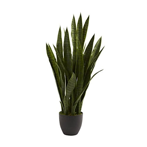 Sansevieria With Black Planter Fake Plant