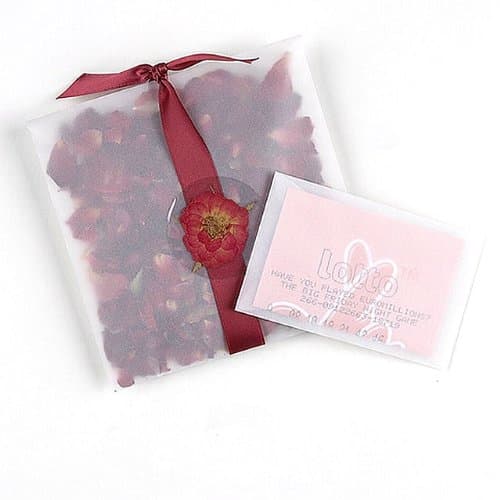 Transparent Envelopes Large (Pack of 20)