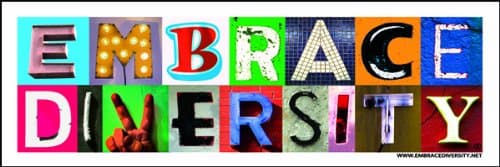 Embrace Diversity 3" x 9" Bumper Sticker