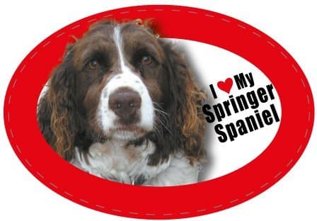 Oval Pet Magnet - English Springer Spaniel