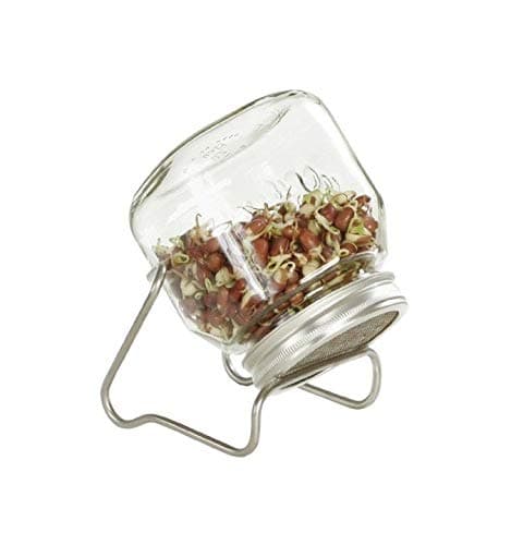 Eschenfelder Sprouting Jar 750ml with Support Stand