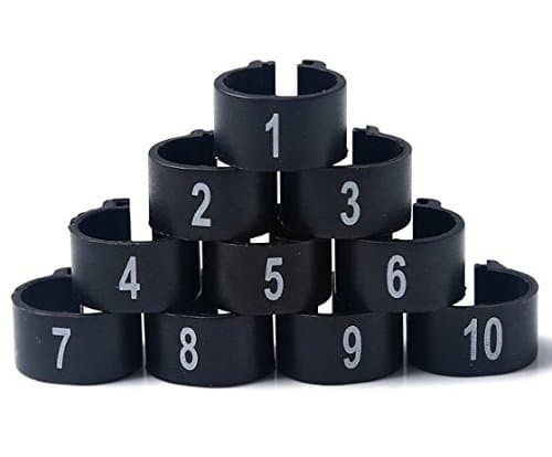 100 Numbered Chicken Leg Bands (black) 442