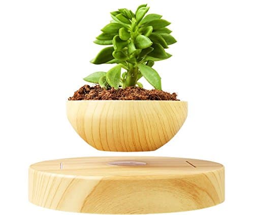 Blu Devil Levitating Plant Pot & Base (Set) | Durable Faux Wood Plastic with Electromagnetic Technology & Adaptor for US, EU & UK | Ideal for Most Plants for Gardeners
