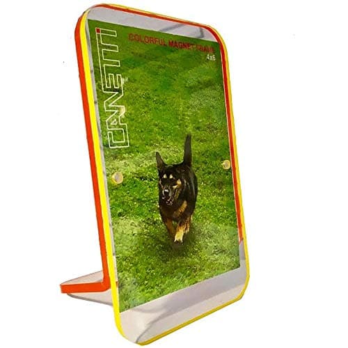 Canetti Colorful Magnet Picture Frames - Clear Acrylic Frame