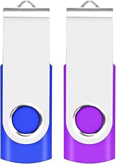 1GB USB Flash Drive 2-Pack EASTBULL USB 2.0 Drive Swivel USB Stick Memory Stick Metal Pen Drive (Blue & Purple)