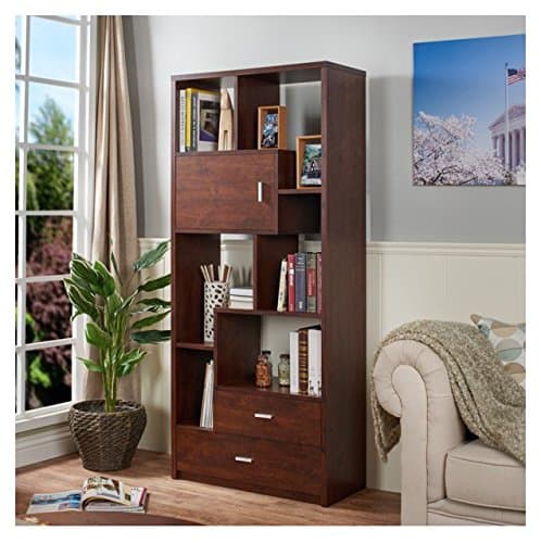 Contemporary Modern Multifunctional Bookcase