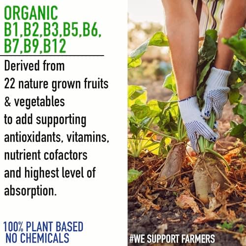 BioClinical Plant Based B Complex - Vitamin B12 Supplement B1,B2,B3,B5,B6,B7,B9 2Months Organic Vit B-12 for Men & Women - Natural Ayurvedic Rasayana -Act. Inlife , Nerve, Hair & Skin Health -60 Vegan Capsules