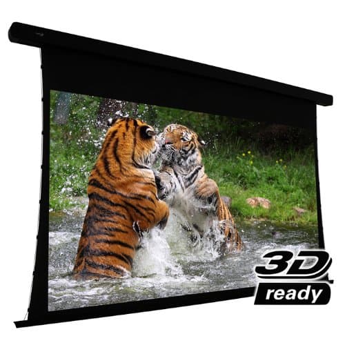 EluneVision Reference Studio 4K Tab-Tensioned Motorized Screen - 135" (118" x 66") Viewable - 16:9
